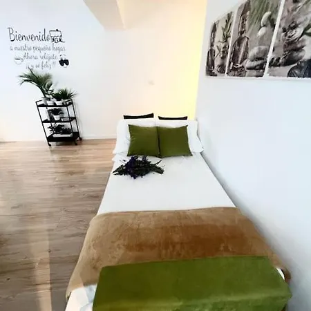 Апартаменты Centrico Y Acogedor Eva *